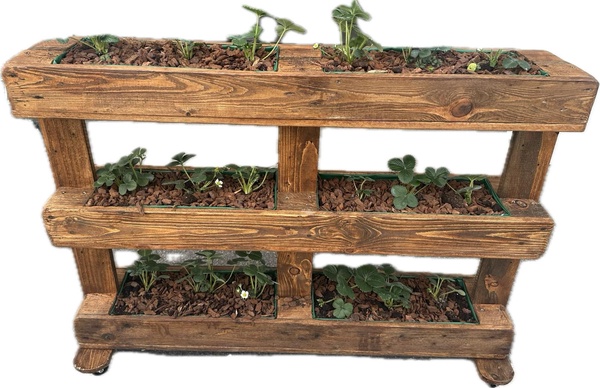 Palet Macetero R�stico con fresas Artesanal